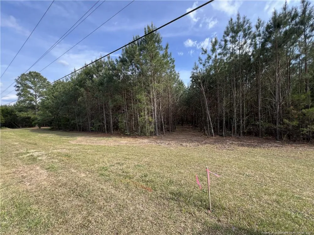 tbd (9 acres) NC 27 W Lillington, NC 27546