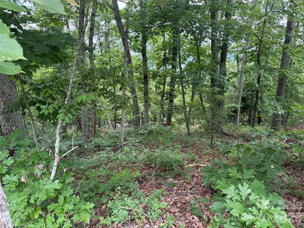 0 Arbra Mountain Way #54 Bostic, NC 28018