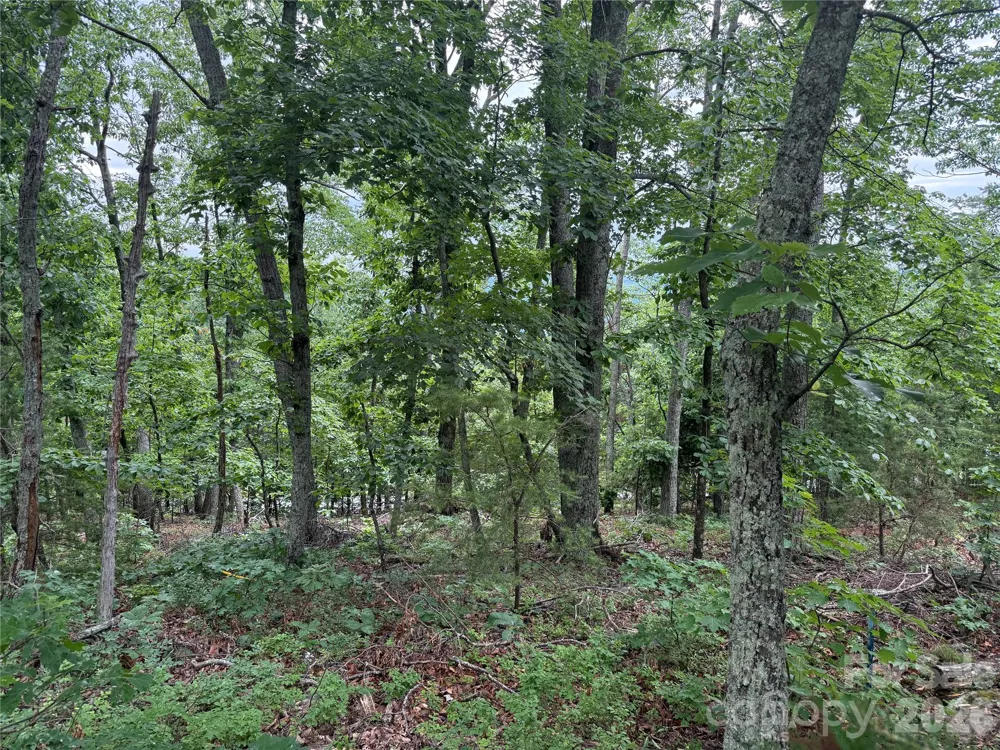 0 Arbra Mountain Way #54 Bostic, NC 28018
