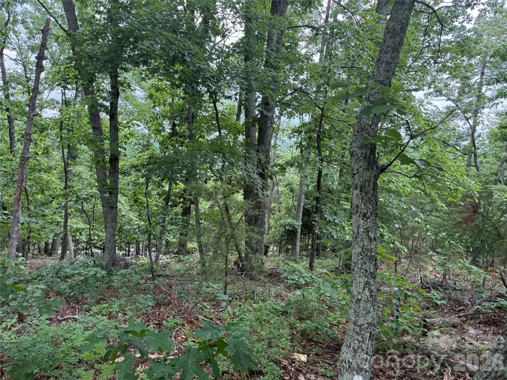 0 Arbra Mountain Way #54 Bostic, NC 28018