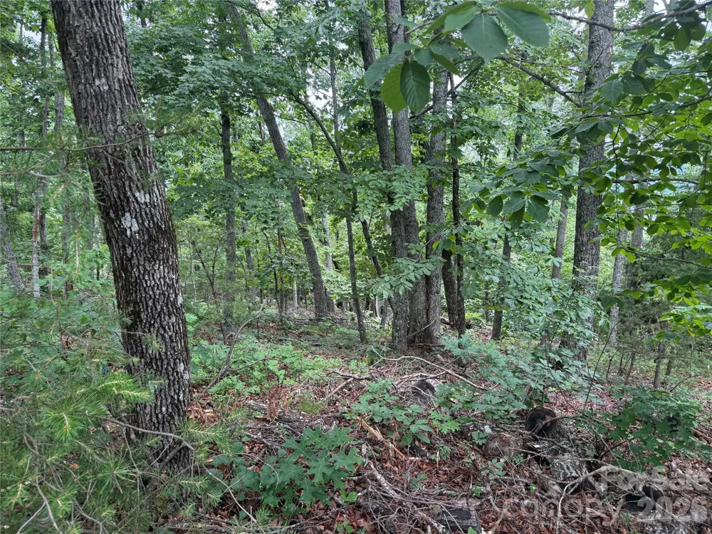 0 Arbra Mountain Way #54 Bostic, NC 28018
