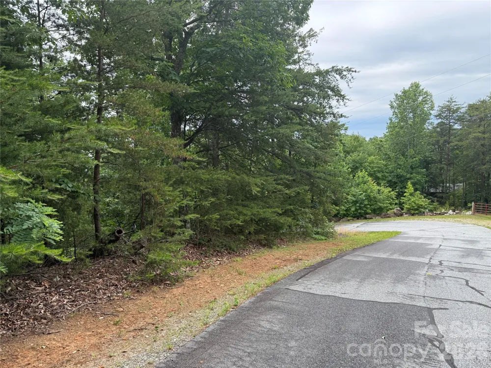 0 Arbra Mountain Way #54 Bostic, NC 28018