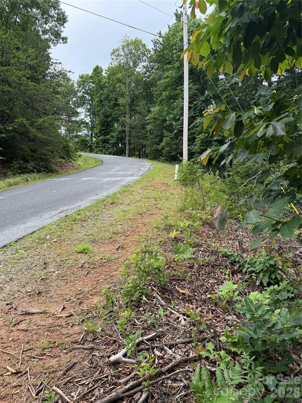 0 Arbra Mountain Way #54 Bostic, NC 28018