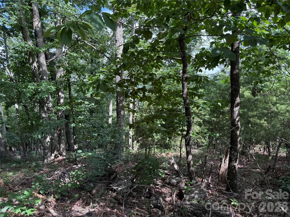 0 Arbra Mountain Way #54 Bostic, NC 28018