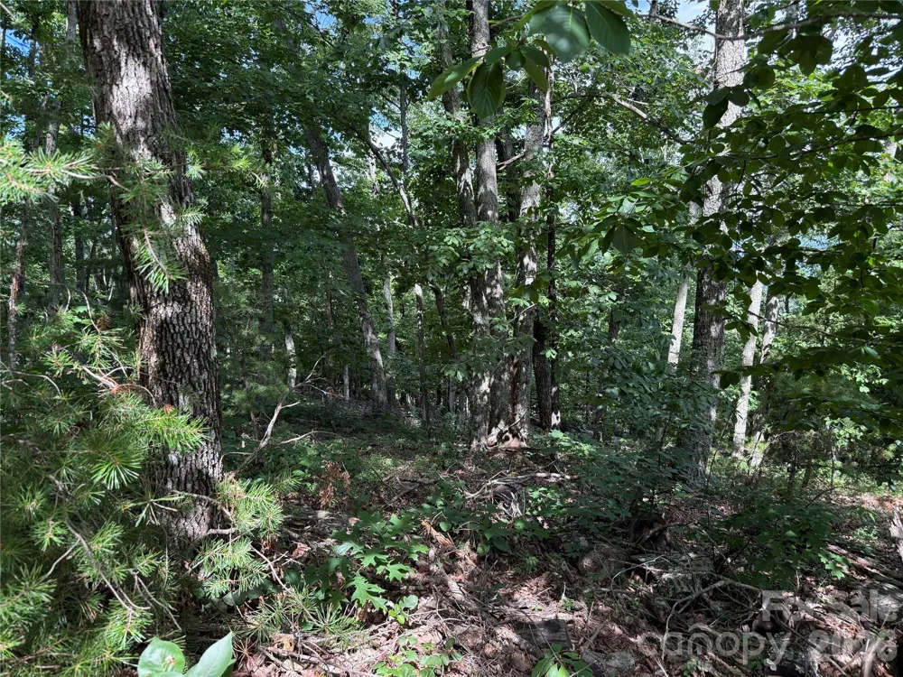0 Arbra Mountain Way #54 Bostic, NC 28018