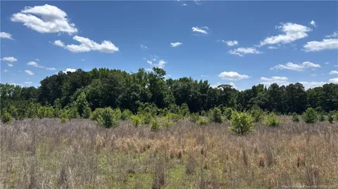 Snipes Road
