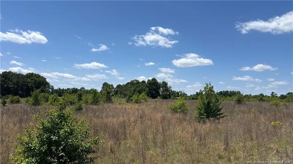 Snipes Road Red Springs, NC 