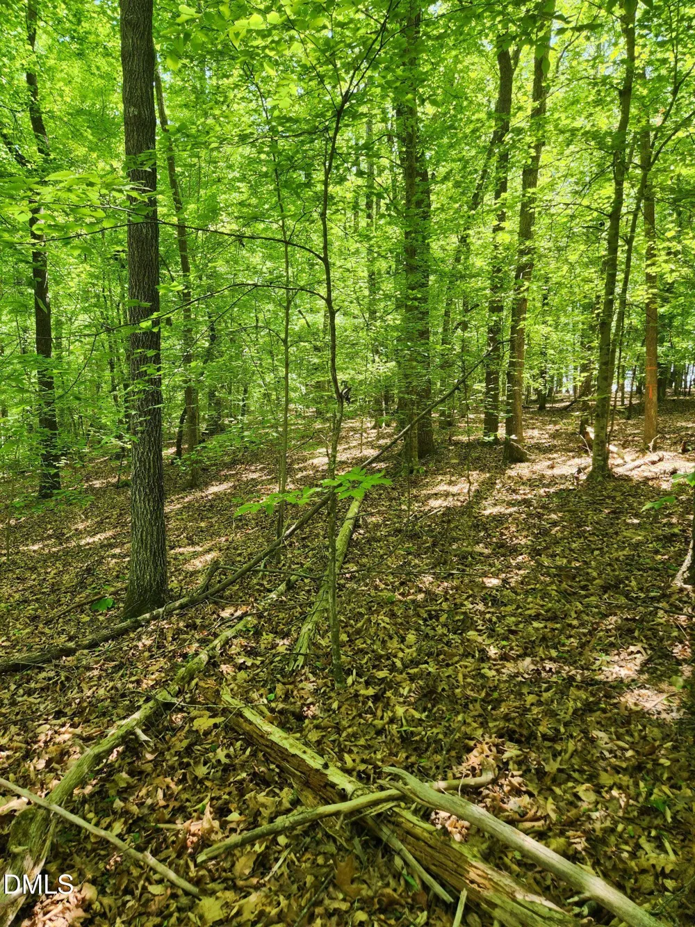 Lot 2 Lylas Lane Efland, NC 27243