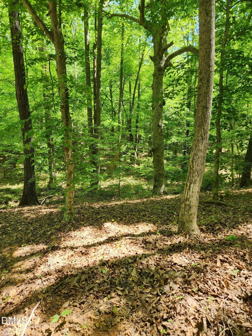Lot 2 Lylas Lane Efland, NC 27243