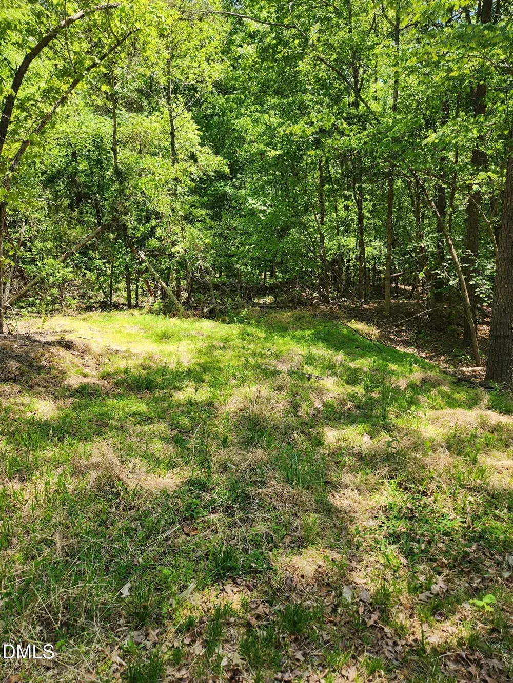 Lot 2 Lylas Lane Efland, NC 27243