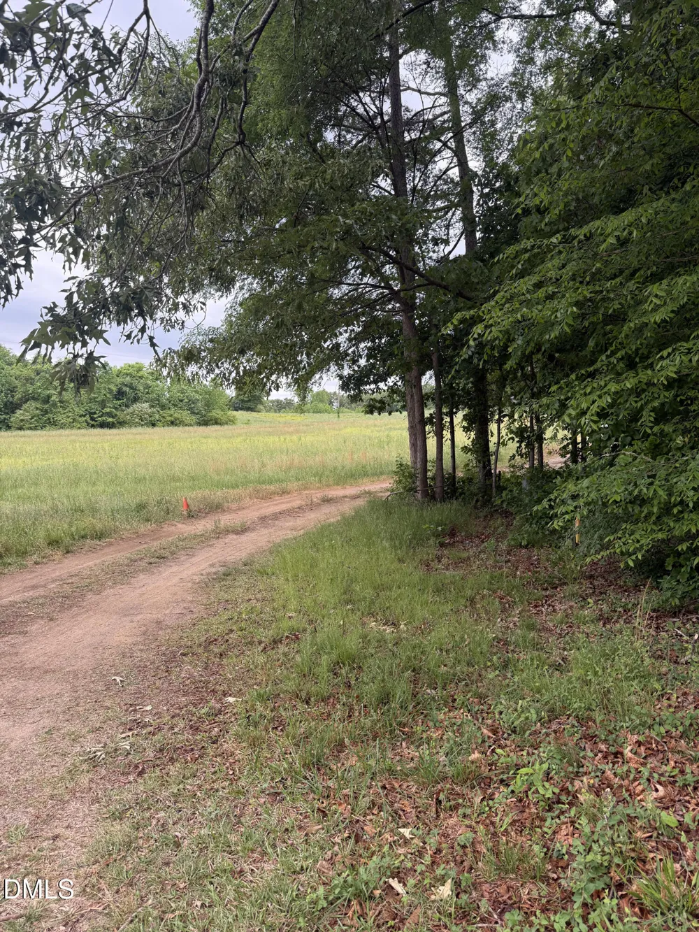 249 Mary Eliza Lane Goldston, NC 27252