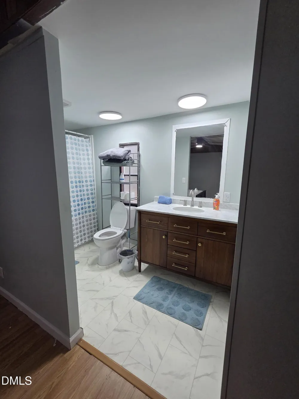 249 Mary Eliza Lane Goldston, NC 27252