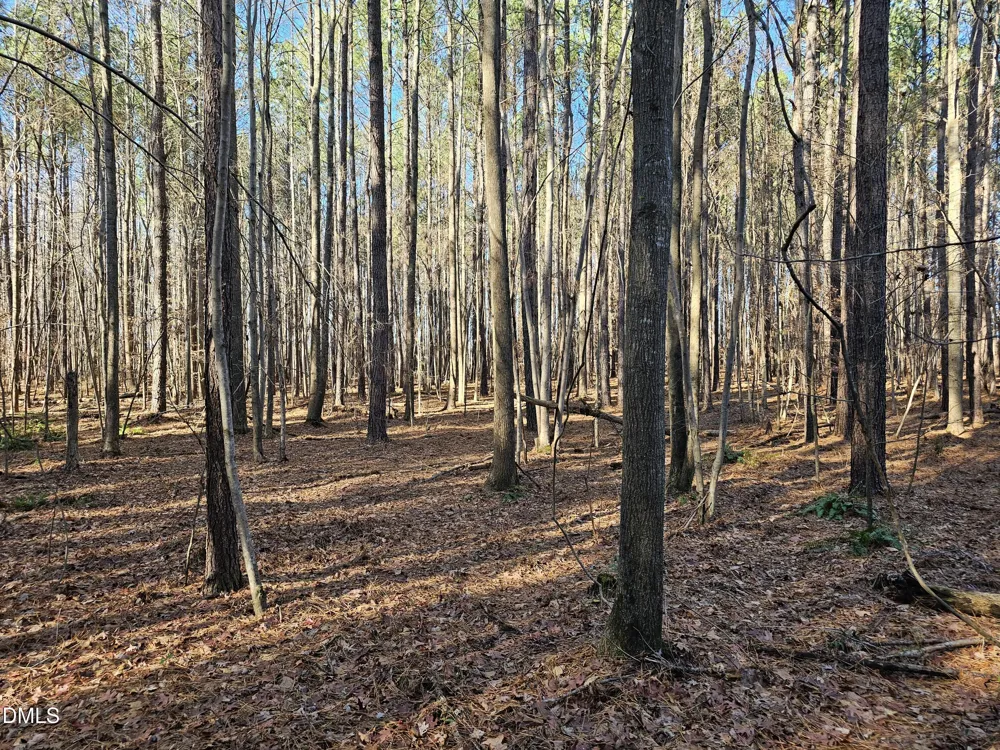 0 Sykes Road Nashville, NC 27856