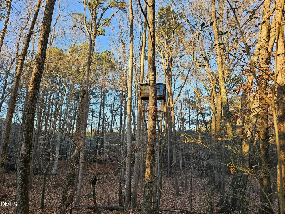 0 Sykes Road Nashville, NC 27856
