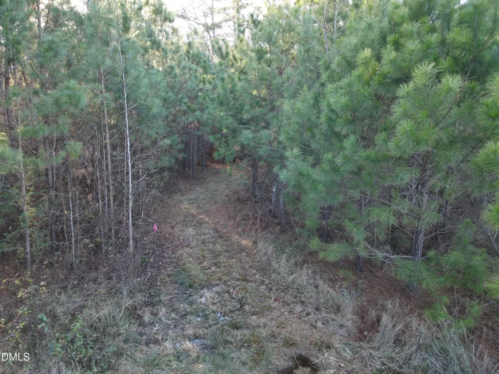 0 Sykes Road Nashville, NC 27856