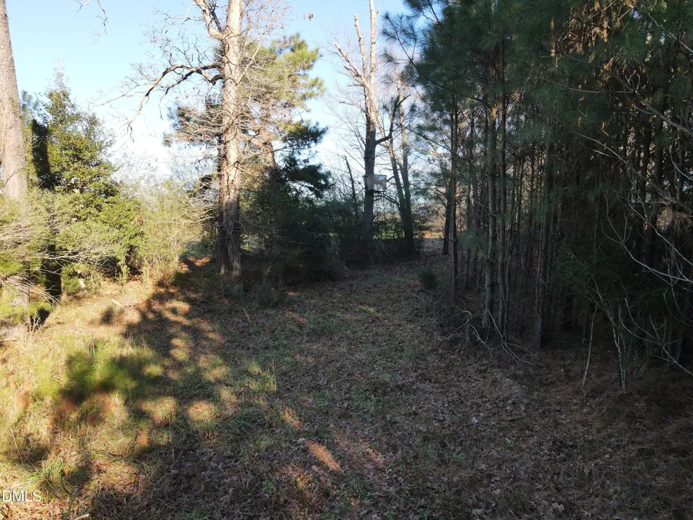 0 Sykes Road Nashville, NC 27856