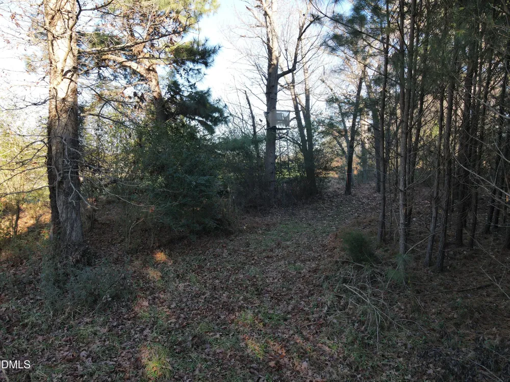 0 Sykes Road Nashville, NC 27856