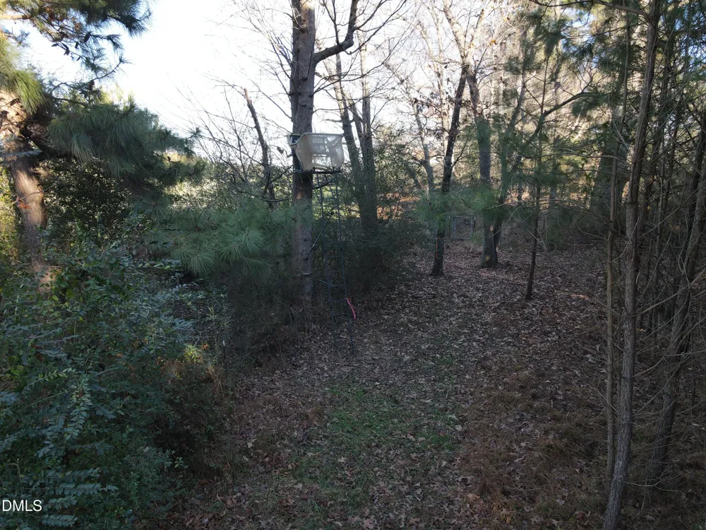 0 Sykes Road Nashville, NC 27856