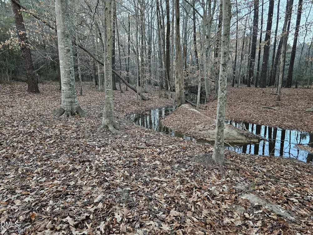 0 Sykes Road Nashville, NC 27856