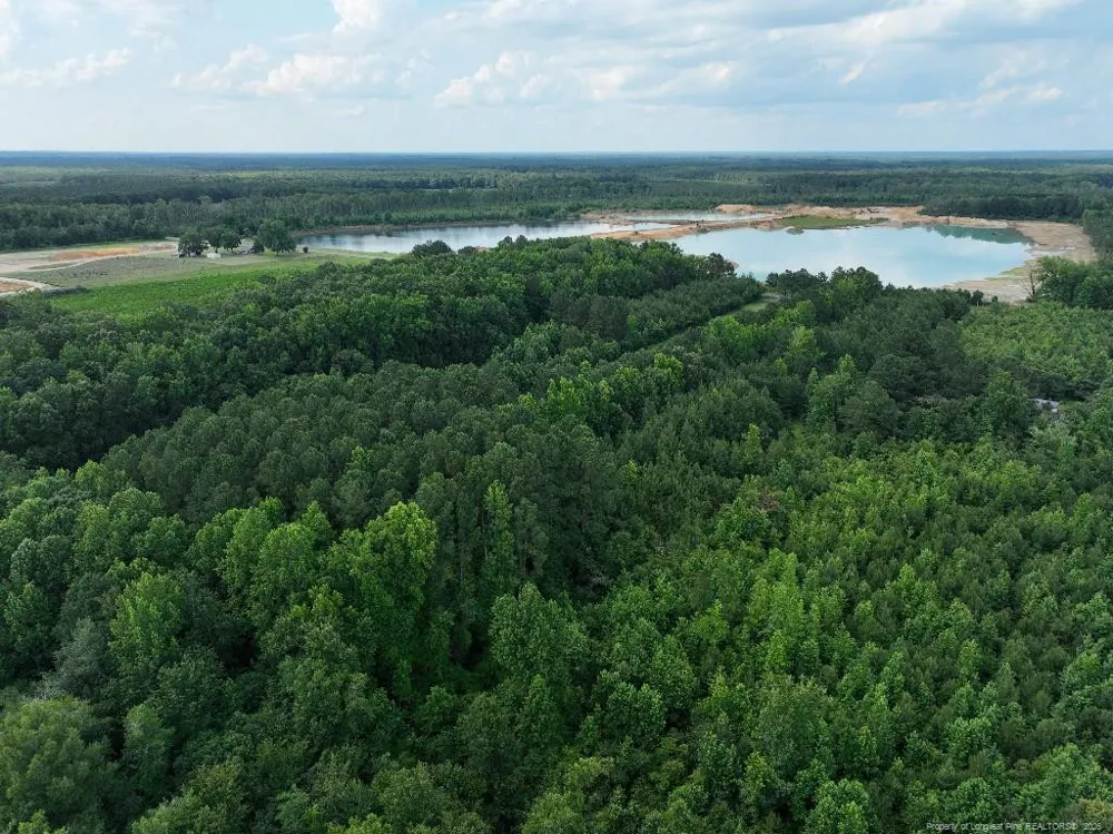 8125 Carlos Road Linden, NC 28356