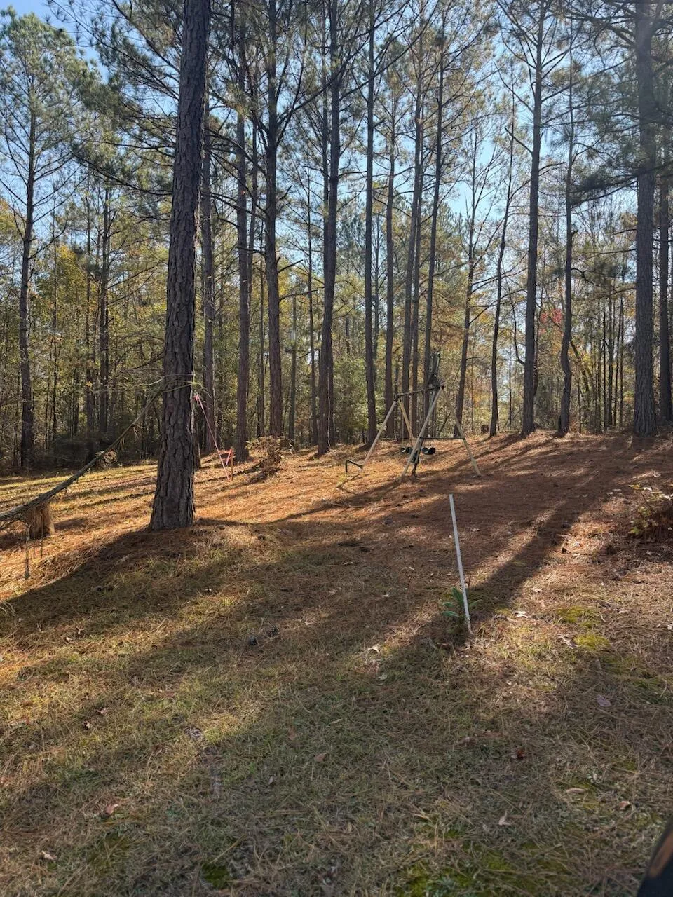 5584 Rosemont Drive Appling, GA 30802