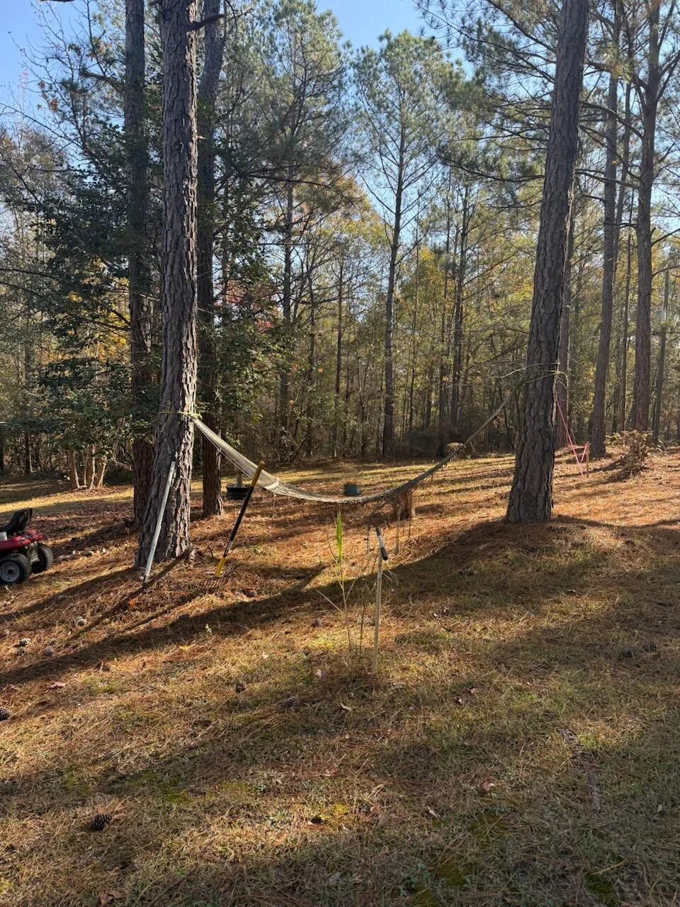5584 Rosemont Drive Appling, GA 30802