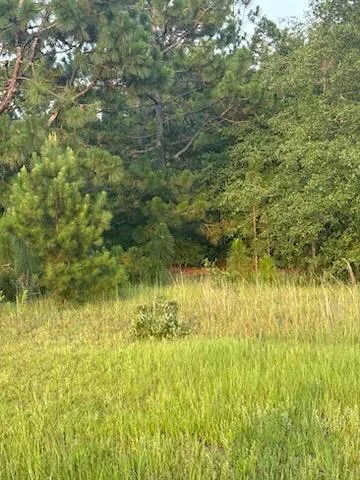 5584 Rosemont Drive Appling, GA 30802