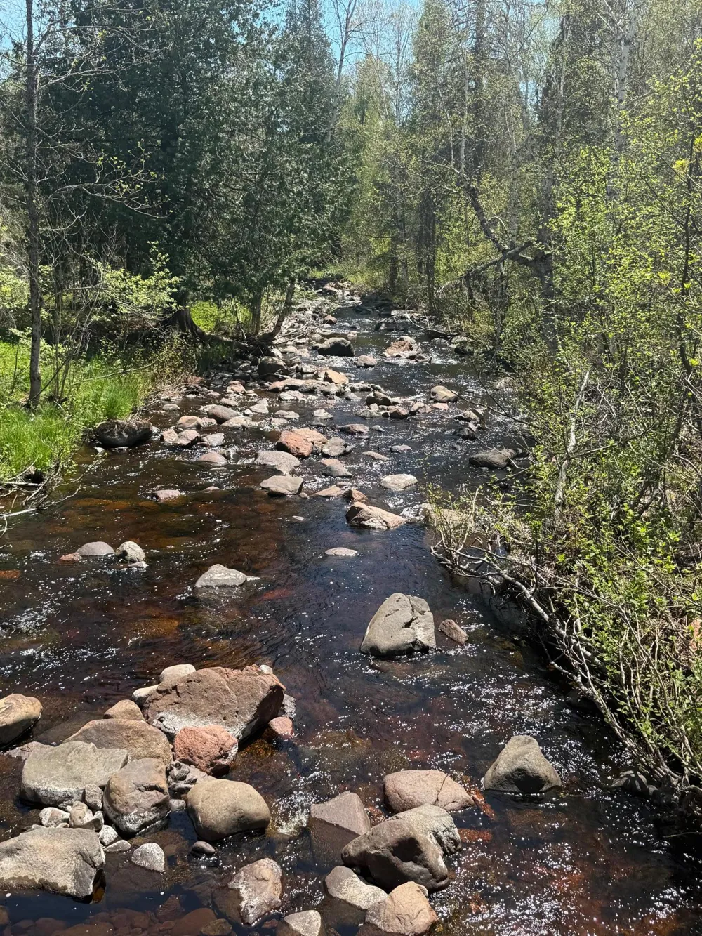 TBD Crown Creek Spur Rd Finland, MN 55603