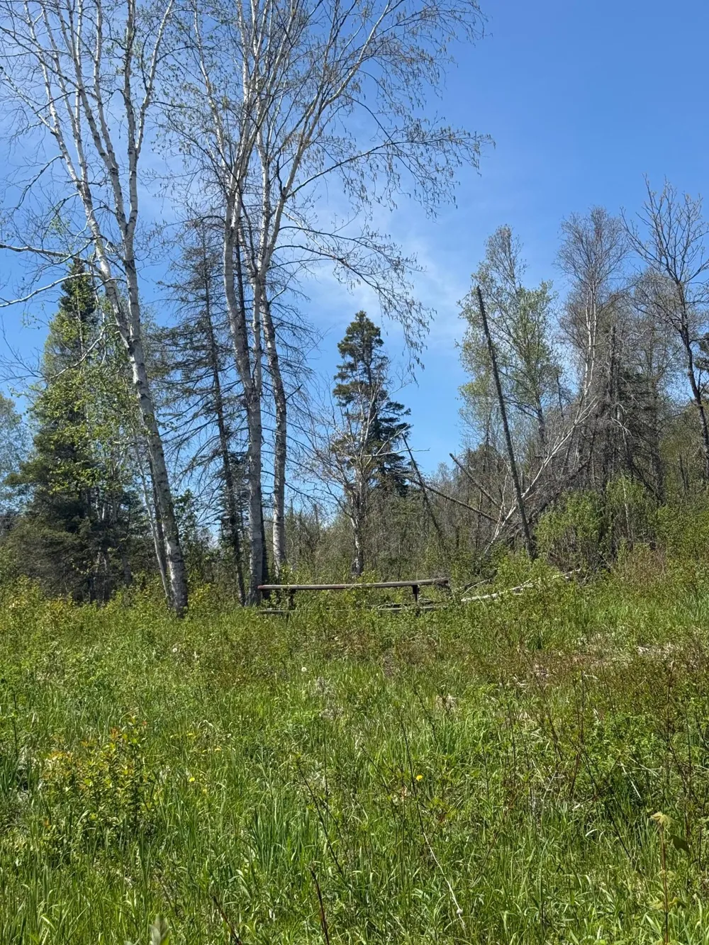 TBD Crown Creek Spur Rd Finland, MN 55603