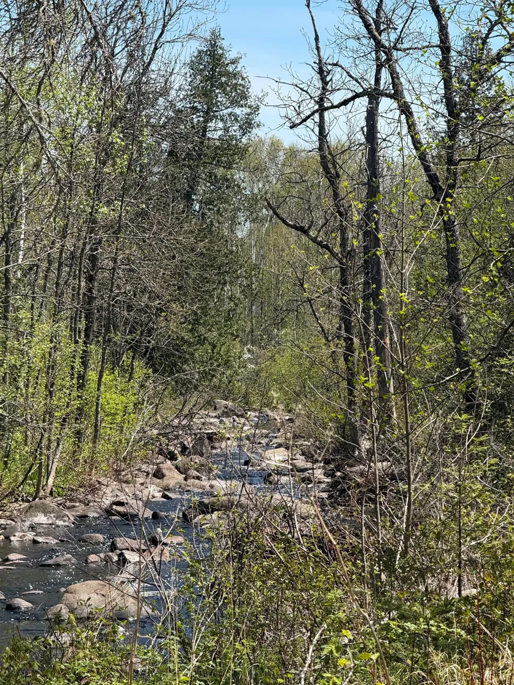 TBD Crown Creek Spur Rd Finland, MN 55603