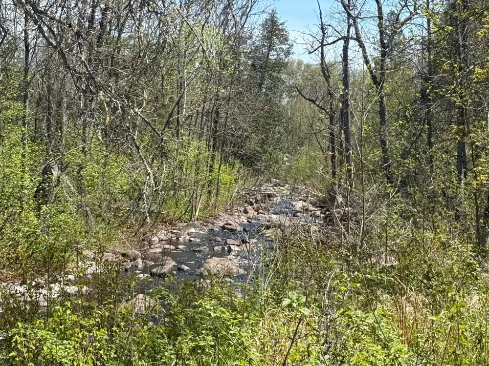 TBD Crown Creek Spur Rd Finland, MN 55603