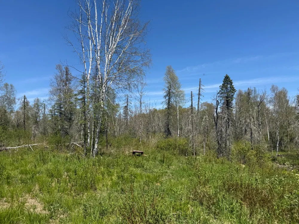 TBD Crown Creek Spur Rd Finland, MN 55603