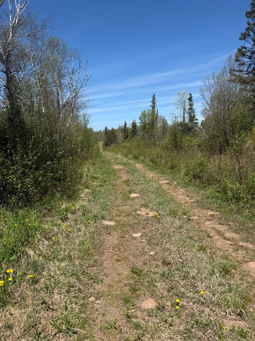 TBD Crown Creek Spur Rd Finland, MN 55603