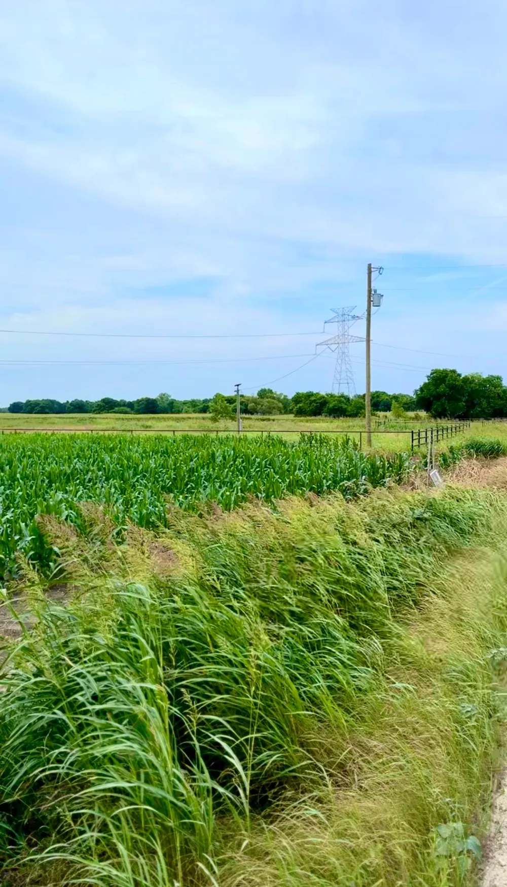 9775 County Road 505 Alvarado, TX 76009