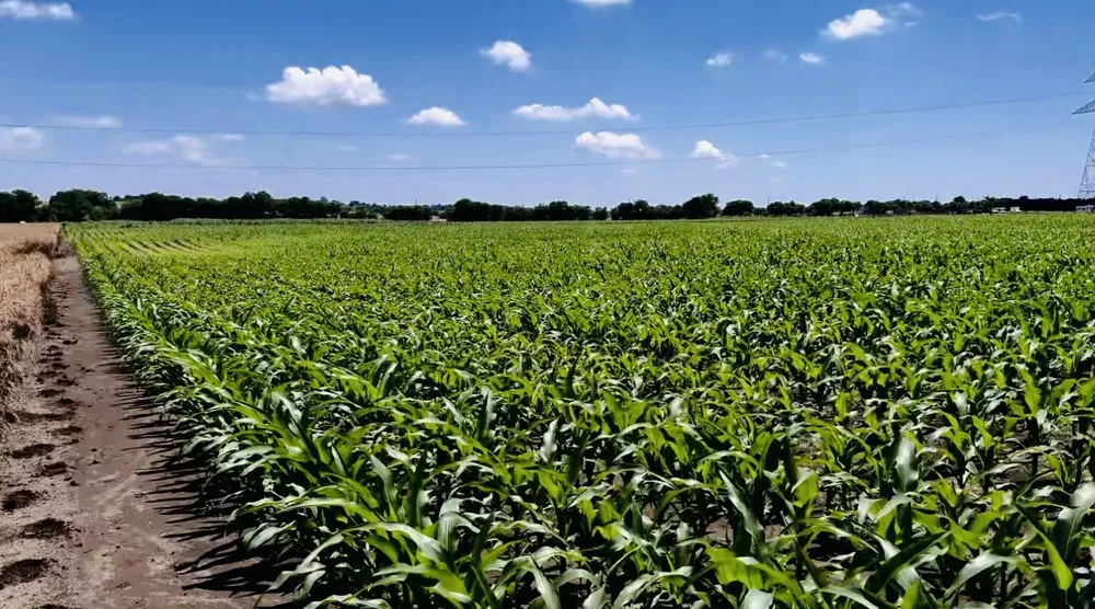 9775 County Road 505 Alvarado, TX 76009