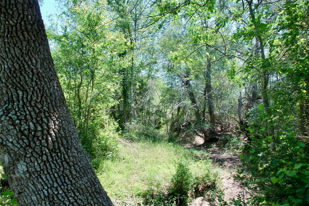 3703 Muehr Road Weimar, TX 78962