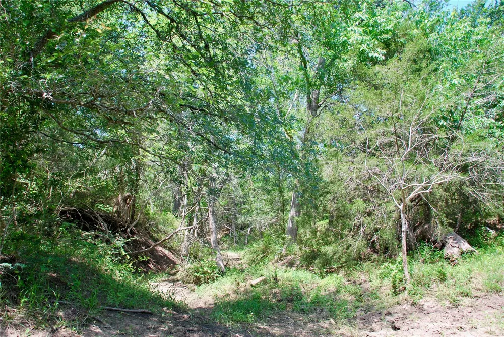 3703 Muehr Road Weimar, TX 78962
