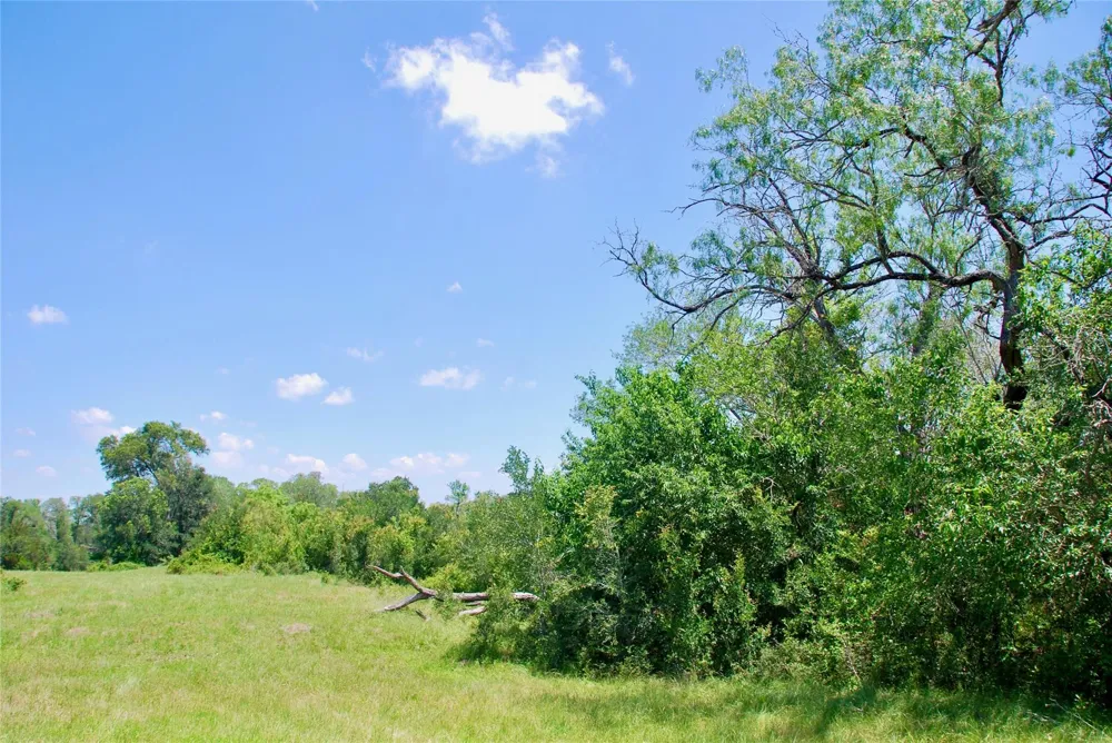 3703 Muehr Road Weimar, TX 78962