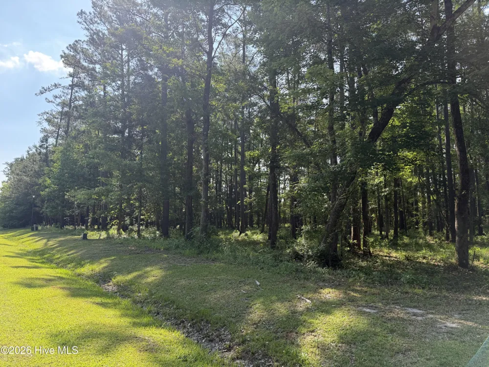 221 Bridgewater Drive Beaufort, NC 28516