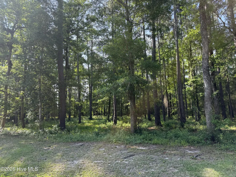 221 Bridgewater Drive Beaufort, NC 28516