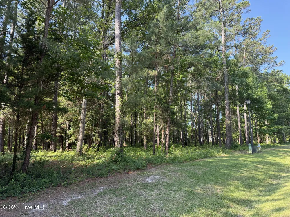 221 Bridgewater Drive Beaufort, NC 28516