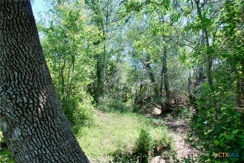 3703 Muehr Road Weimar, TX 78962