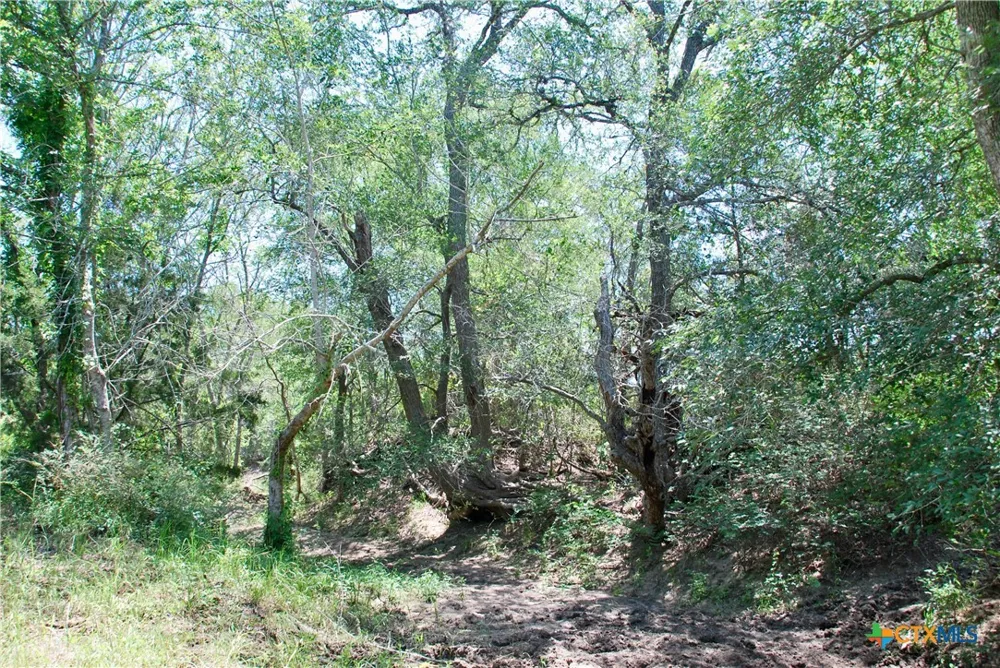 3703 Muehr Road Weimar, TX 78962