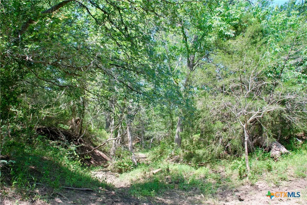 3703 Muehr Road Weimar, TX 78962