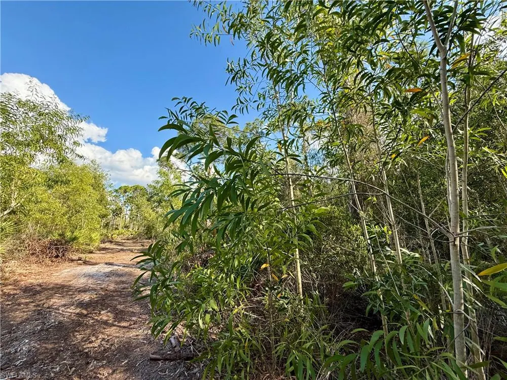 7101 Guava Avenue Bokeelia, FL 33922