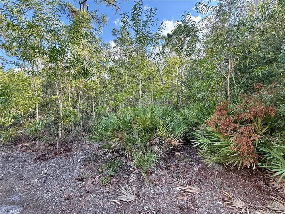 7101 Guava Avenue Bokeelia, FL 33922