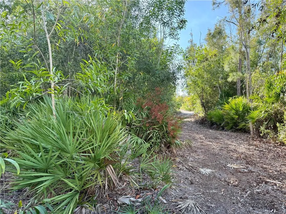 7101 Guava Avenue Bokeelia, FL 33922