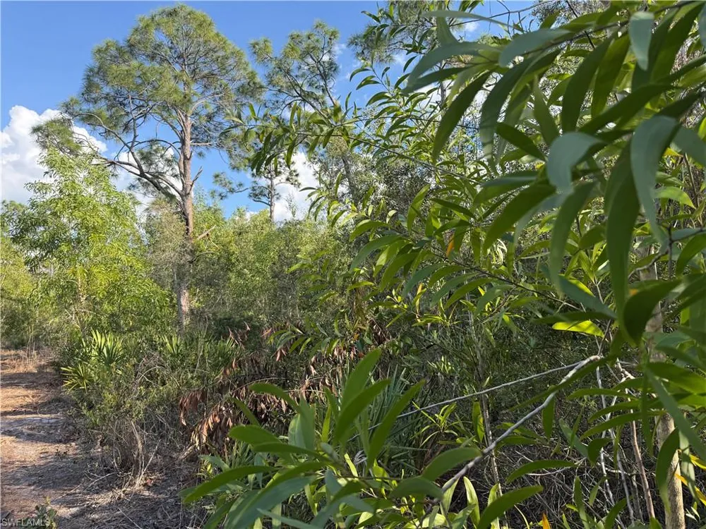 7101 Guava Avenue Bokeelia, FL 33922