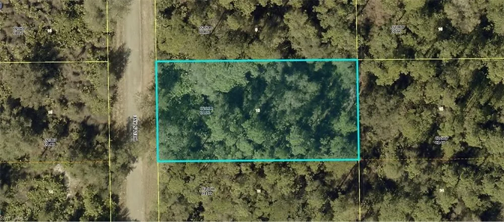 2004 WELLS AVENUE Alva, FL 33920
