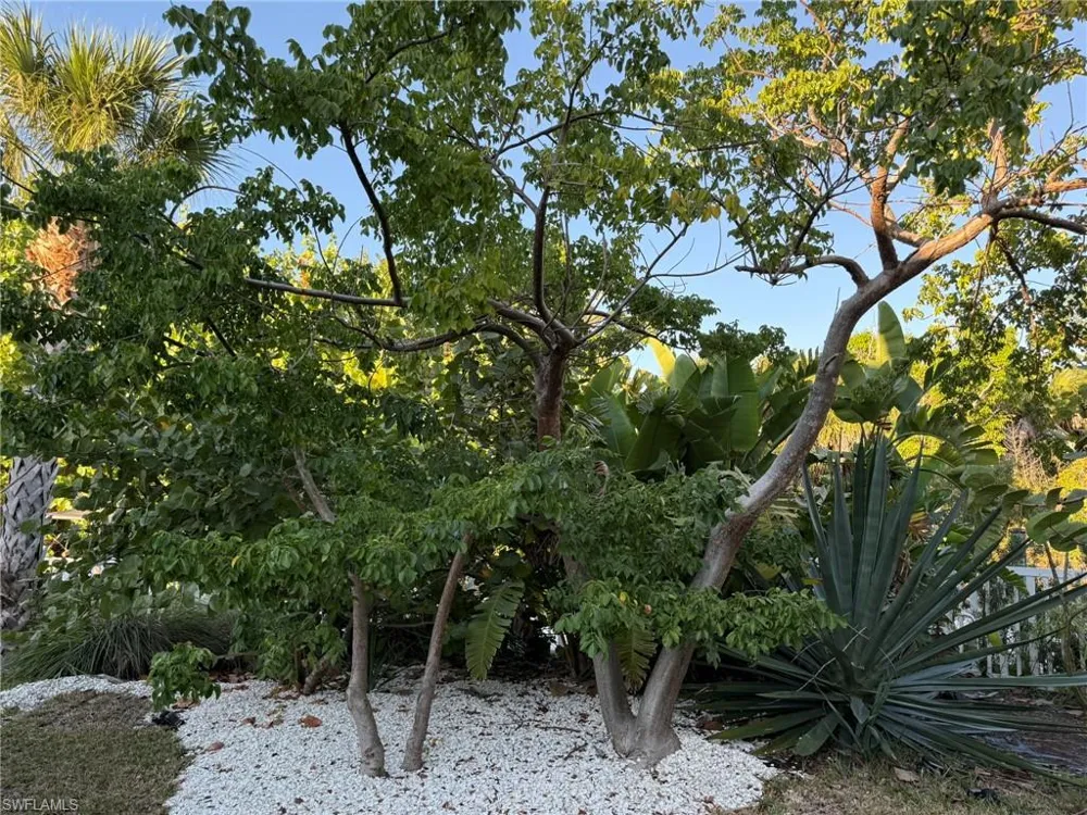 4511 Bartlett Parkway Captiva, FL 33924